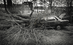 403116 Afbeelding van een op een auto gevallen boom aan de Zonstraat te Utrecht, na de storm van 25 januari 1990.